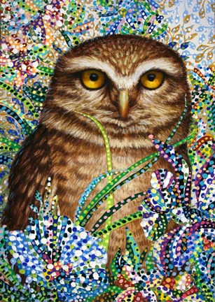 Framed Burrowing Owl in Flowers Print