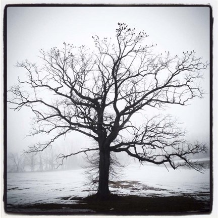 Framed Almost Spring Print