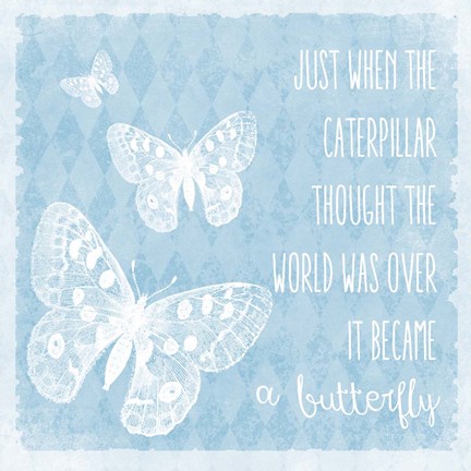 Framed Butterflies Print