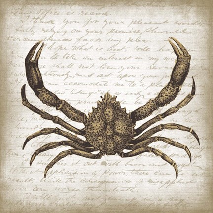 Framed Crab II Print