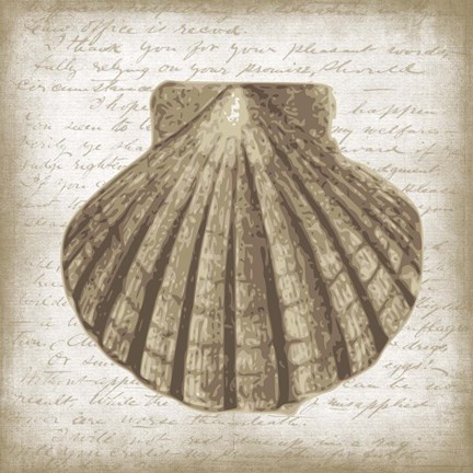 Framed Shell I Print