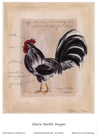 Framed Major Grey IV Print