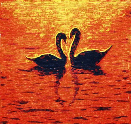 Framed Swan LIV Print