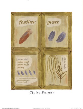 Framed Feather Grass Print