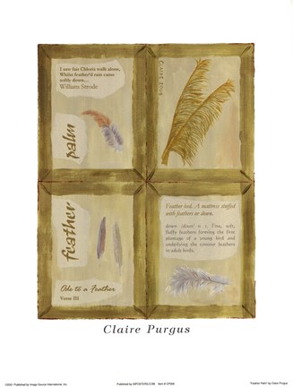 Framed Feather Palm Print