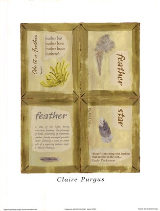 Framed Feather Star Print