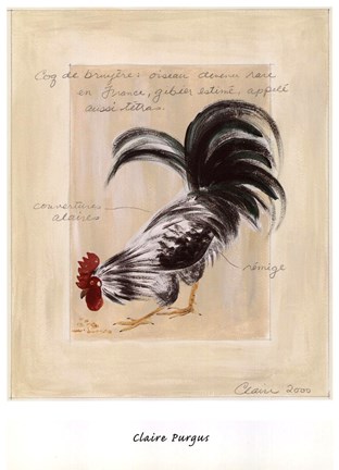 Framed Major Grey II Print