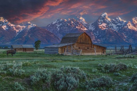 Framed Grand Teton Mormon Barn At Sunrise Print