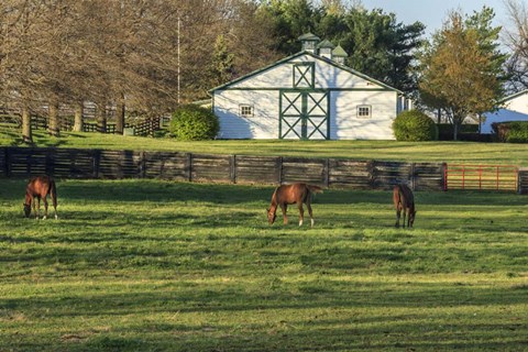 Framed Horse Farm Landscape Print