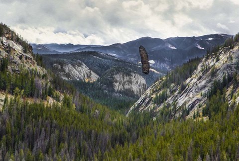 Framed Mountains With Eagle Print