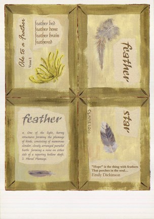 Framed Feather Star Print