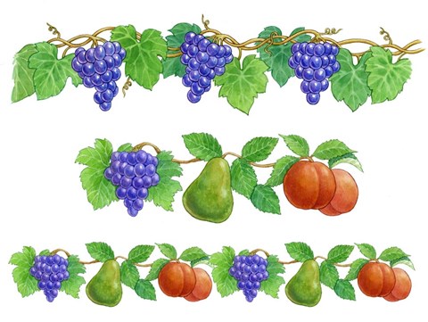 Framed Grapes and Fruit borders Print