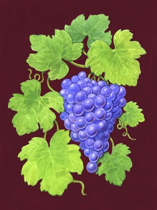 Framed Grapes Burgundy Print