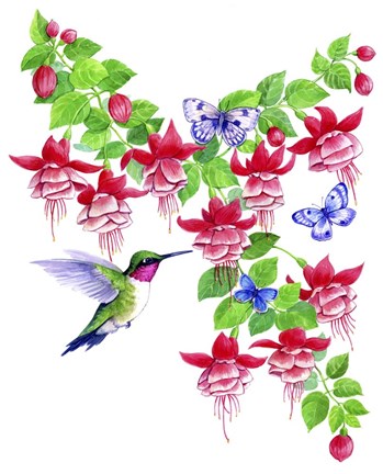 Framed Hummingbird Hibiscus Print