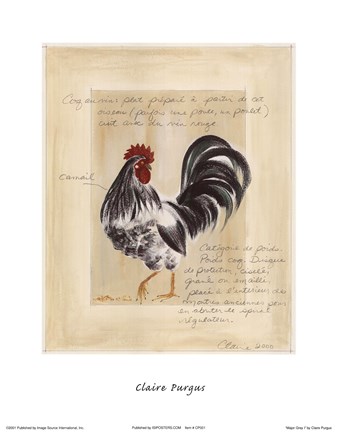 Framed Major Grey Print