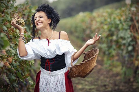 Framed Grape 1 Print