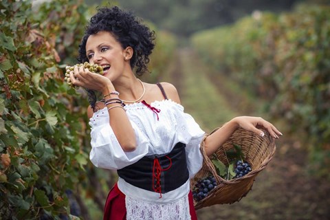 Framed Grape 2 Print