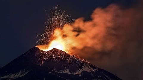 Framed Curly Fountain Print