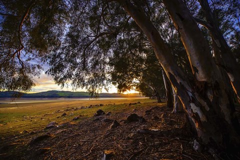 Framed Warm Light Print