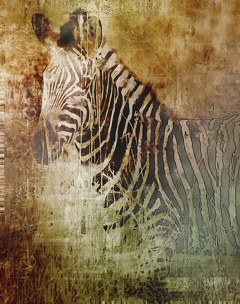 Framed Africa Zebra Print