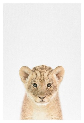 Framed Baby Lion Print