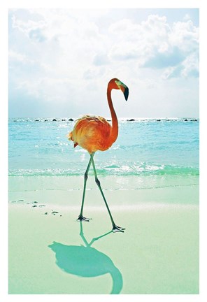 Framed Flamingo on the Beach Print