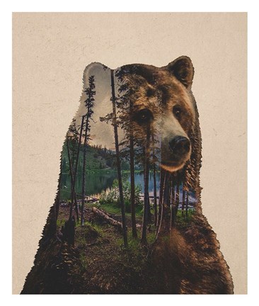Framed Bear Lake Print