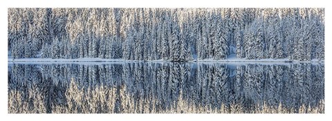 Framed Winter Silence Print