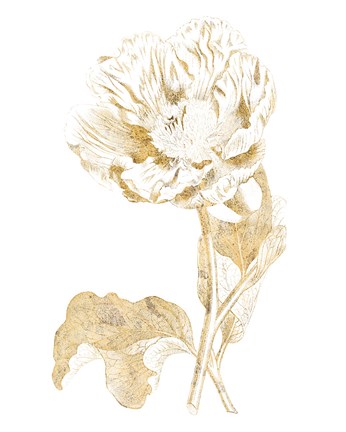 Framed Gilded Botanical VII Print