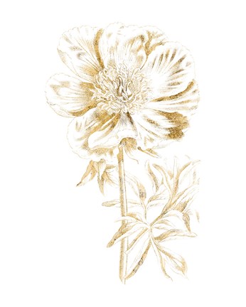 Framed Gilded Botanical VIII Print