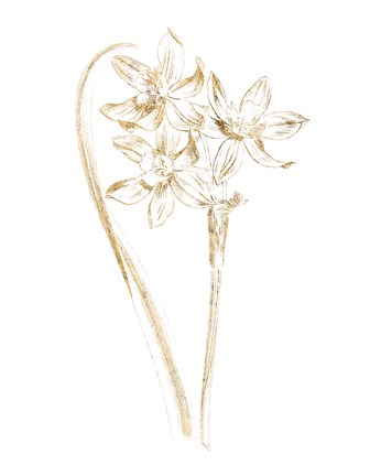 Framed Gilded Botanical IV Print