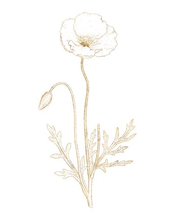 Framed Gilded Botanical I Print