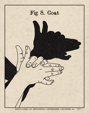 Framed Art of Shadows VIII Print