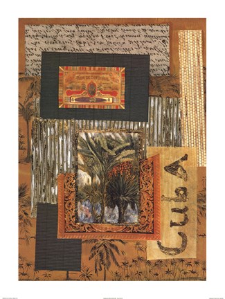 Framed Memories of Cuba II Print