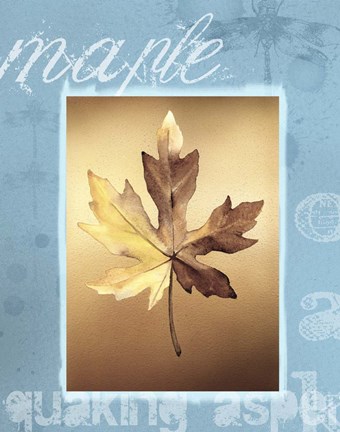 Framed Autumn II Print