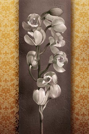 Framed Cymbidium Decor Print