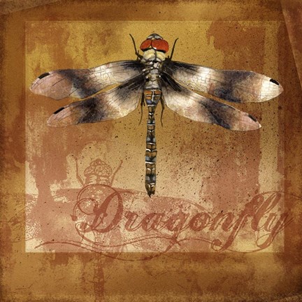 Framed Dragonfly II Print