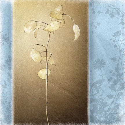 Framed Lunaria II Print