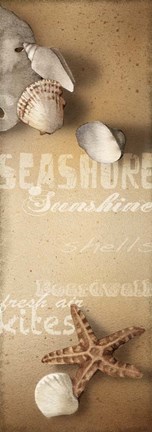 Framed Sandy II Print