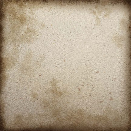 Framed Combshell II Print