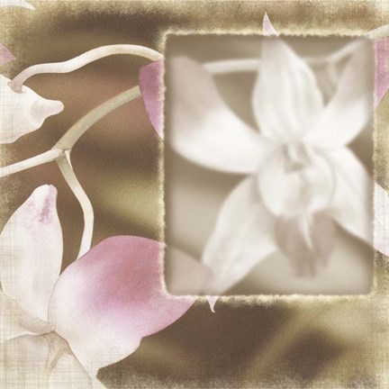 Framed Dendro I Print