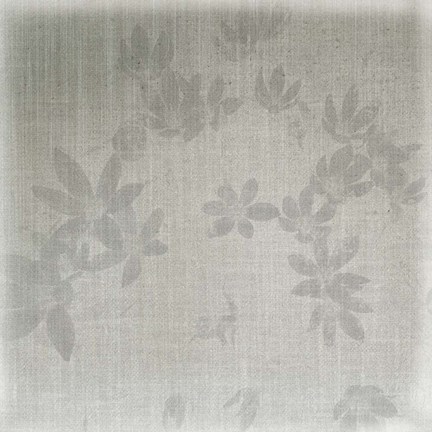 Framed Echinacea II Print