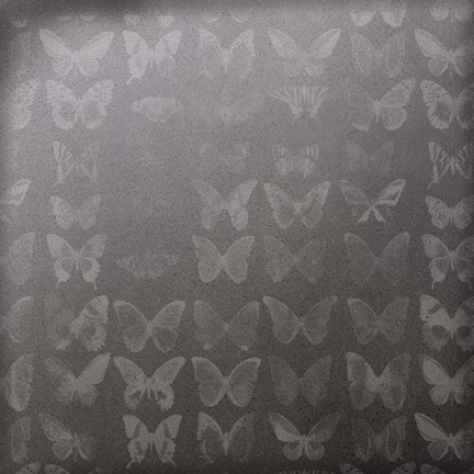 Framed Phalaenopsis II Print