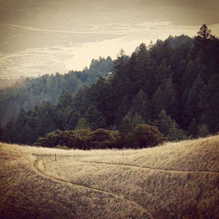 Framed Diverging Paths 2 Print