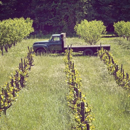 Framed Green Truck Print