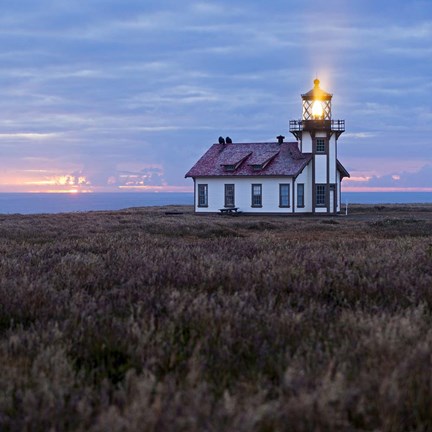 Framed Point Cabrillo Light Station Print