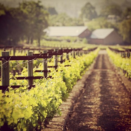 Framed New Vintage Print