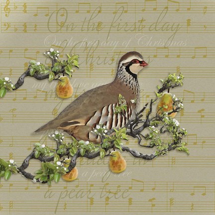 Framed Partridge In A Pear Tree Print