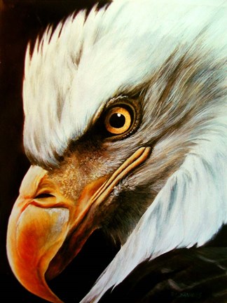 Framed Eagle Eye Print