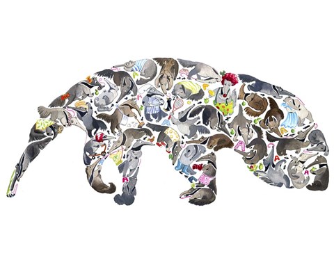 Framed Anteater Print